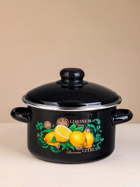 Изображение товара Кастрюля ЭСТЕТ Цитрус / ЭТ-75025