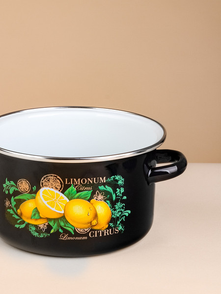 Изображение товара Кастрюля ЭСТЕТ Цитрус / ЭТ-75025
