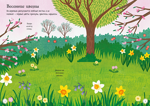 Изображение товара Развивающая книга Махаон Прекрасные цветы, мягкая обложка (Кэролайн Янг)