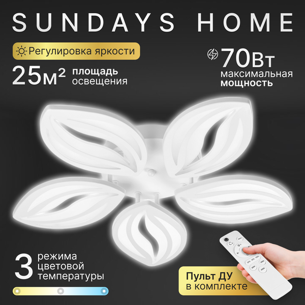 Изображение товара Люстра Sundays Home R-43 / 6341