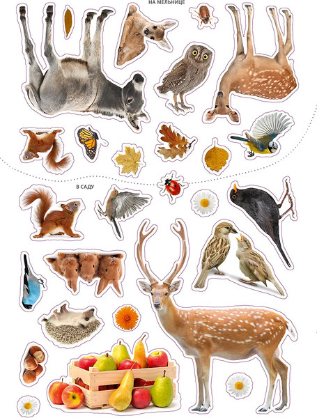 Изображение товара Развивающая книга Робинс Фотонаклейки. Ферма / 9785436609270