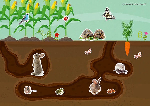 Изображение товара Развивающая книга Робинс Фотонаклейки. Ферма / 9785436609270