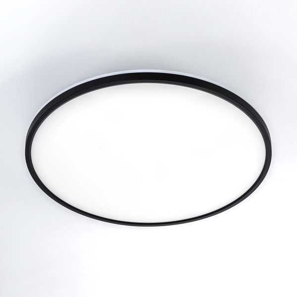 Изображение товара Потолочный светильник Citilux Norma CL748501