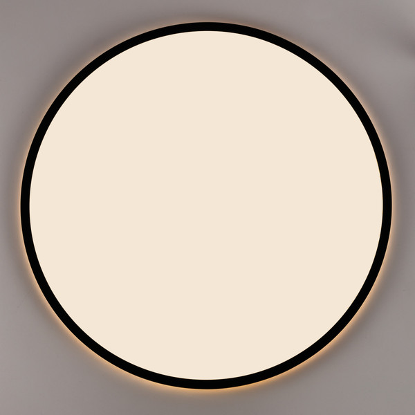 Изображение товара Потолочный светильник Citilux Norma CL748501