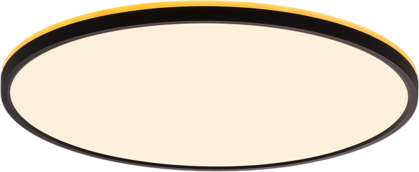 Изображение товара Потолочный светильник Citilux Norma CL748501