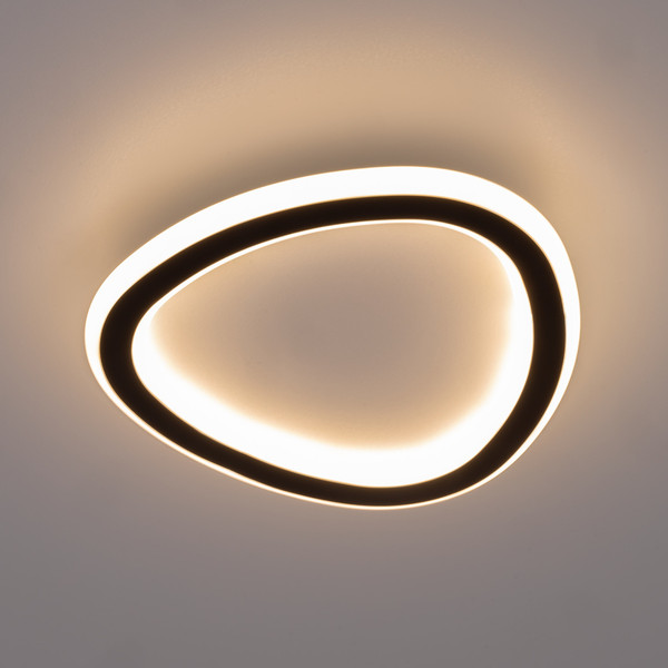 Изображение товара Потолочный светильник Citilux Trio CL215B221