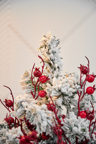 Изображение товара Ель искусственная Royal Christmas Заснеженная / 23168-40CM (40см)