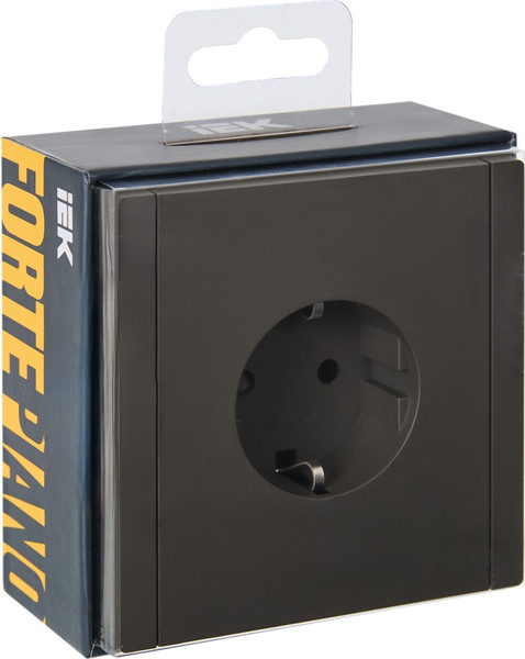 Изображение товара Розетка IEK Forte&Piano FP-R14-16-K03 (серый)