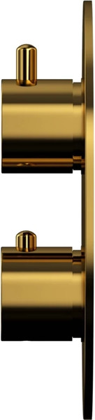 Изображение товара Смеситель Whitecross Y1236GL (золото)