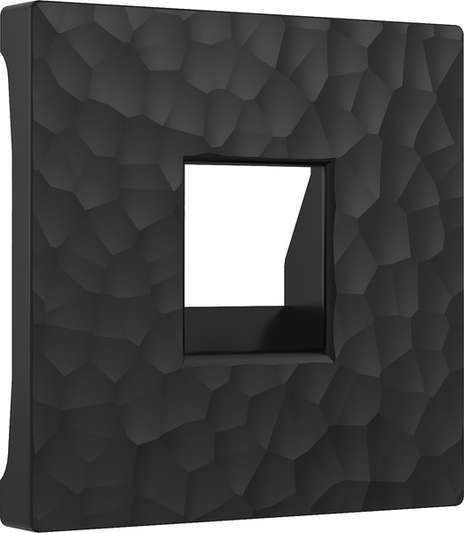 Изображение товара Лицевая панель Werkel W1292008 (черный)