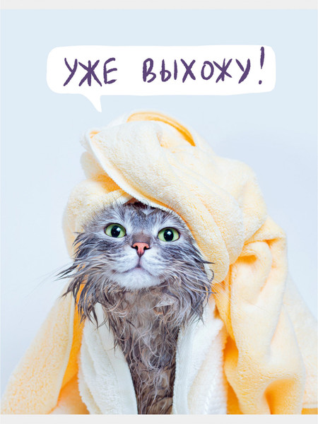 Изображение товара Тетрадь Listoff Утро кошечки / ТЛ4605121