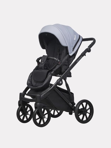 Изображение товара Детская универсальная коляска Riko Montana Ecco 2 в 1 (23, серый)