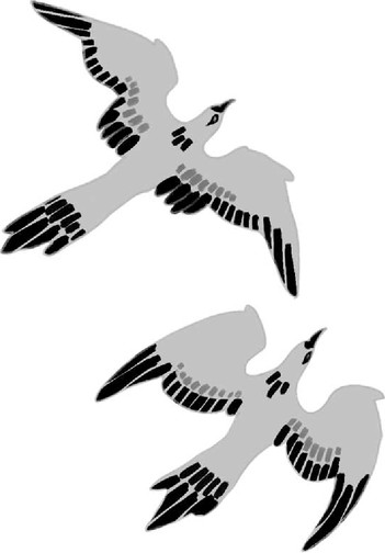 Изображение товара Книга Черным-бело Дочь Горгоны, твердая обложка (Заугольная Оксана)