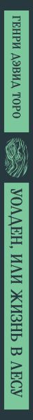 Изображение товара Книга Эксмо Уолден, или Жизнь в лесу, мягкая обложка (Торо Генри)