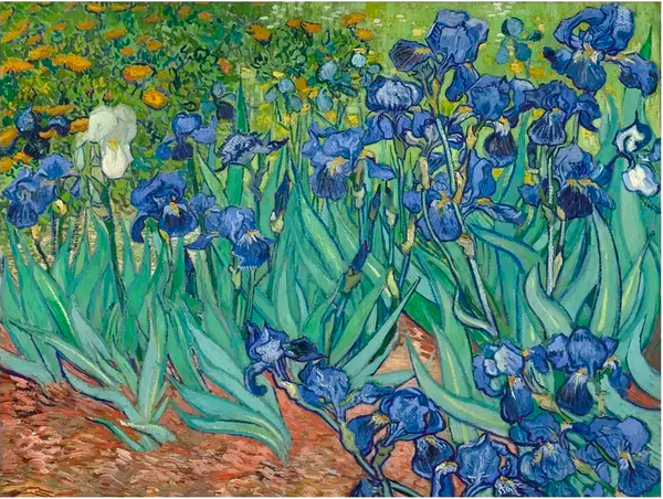 Изображение товара Постер Citydecor Ирисы. Винсент ван Гог (21x30)
