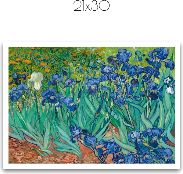 Изображение товара Постер Citydecor Ирисы. Винсент ван Гог (21x30)