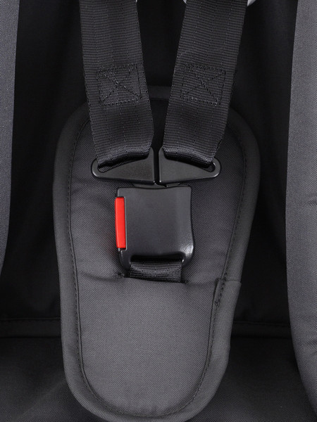 Изображение товара Детская универсальная коляска Rant Basic Energy 2024 2 в 1 / RA091  (зеленый)