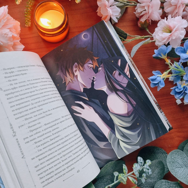 Изображение товара Книга Черным-бело Шолох. Витражи лесной столицы твердая обложка (Крейн Антонина)