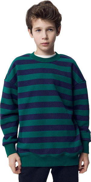 Изображение товара Свитшот детский Mark Formelle 123437/1 (р.116-60, сине-зеленая полоска)