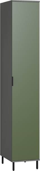Изображение товара Шкаф-пенал Mobi Марвэл 16.316.01 (темно-серый U2601/дымчатый зеленый K521)
