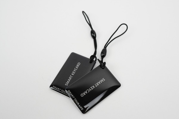 Изображение товара Умный замок Roome Waterproof TTLock Digital Fingerprint Door Lock A2 (черный)