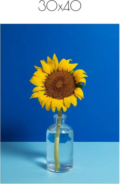 Изображение товара Постер Citydecor Цветы 12 (30x40)