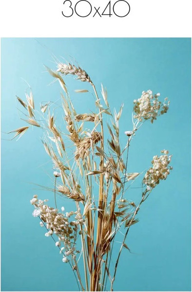 Изображение товара Постер Citydecor Цветы 14 (30x40)