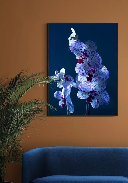 Изображение товара Постер Citydecor Цветы 5 (30x40)