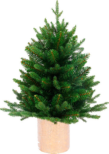 Изображение товара Ель искусственная GreenTerra Ноэлла (90см)