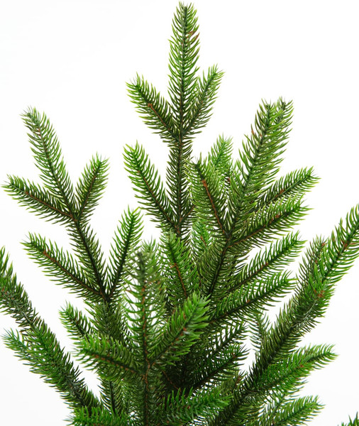 Изображение товара Ель искусственная GreenTerra Сапфир (1.9м)