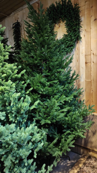 Изображение товара Ель искусственная GreenTerra Сапфир (1.9м)