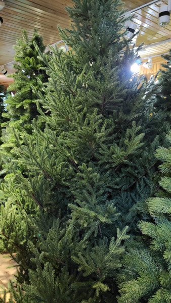 Изображение товара Ель искусственная GreenTerra Синдерелла (2.15м)