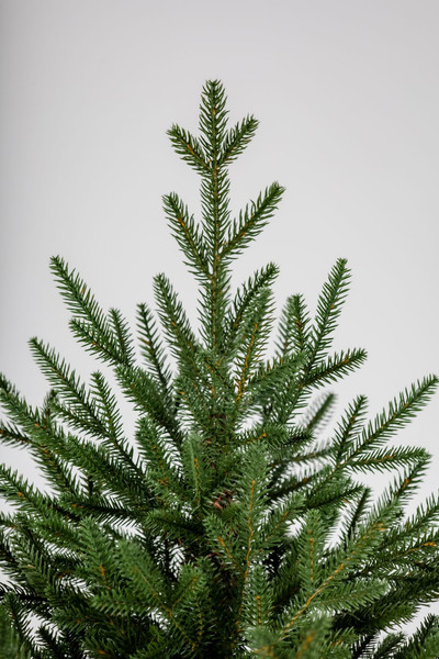 Изображение товара Ель искусственная GreenTerra Синдерелла (2.15м)