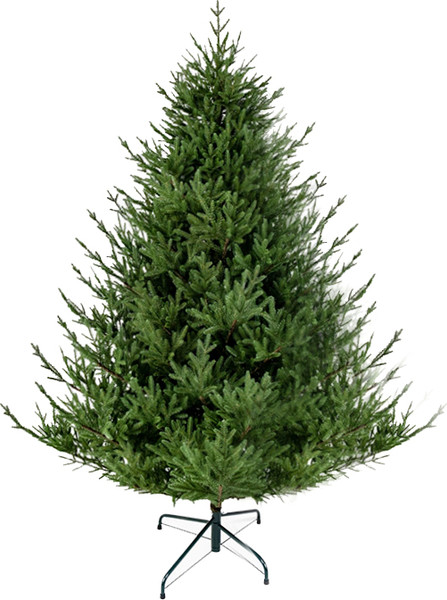 Изображение товара Ель искусственная GreenTerra Синдерелла (2.15м)