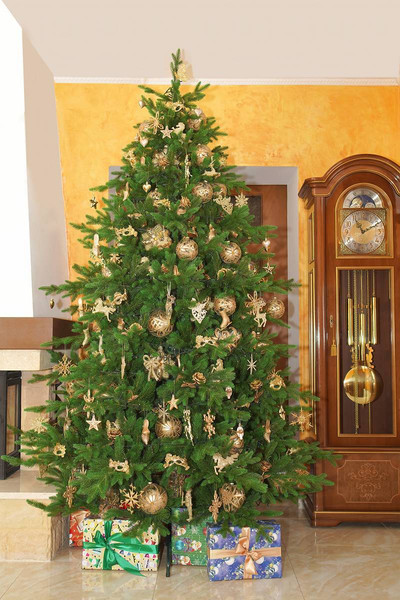 Изображение товара Ель искусственная GreenTerra Хаген Премиум (2.1м)