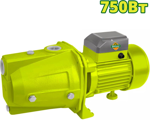 Изображение товара Поверхностный насос DYLLU Самовсасывающий DTWPJA03