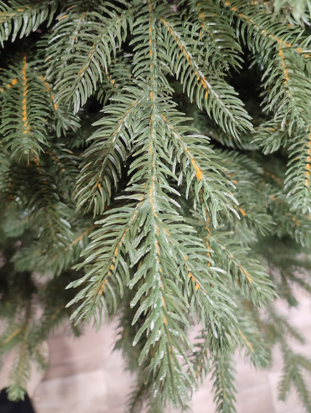 Изображение товара Ель искусственная GreenTerra Мариэль (2.1м)