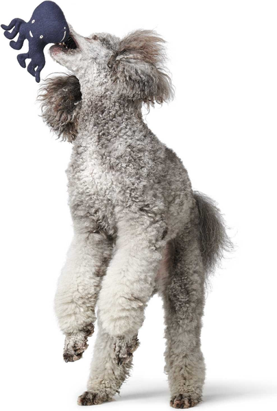 Изображение товара Игрушка для собак HUNTER Skagen Octopus / 69002