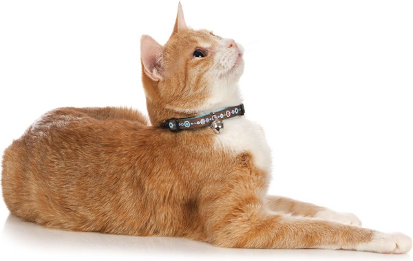 Изображение товара Ошейник HUNTER Collar Cat Signs / 91677