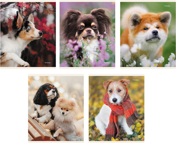 Изображение товара Тетрадь Listoff Пушистые друзья / ТК968386