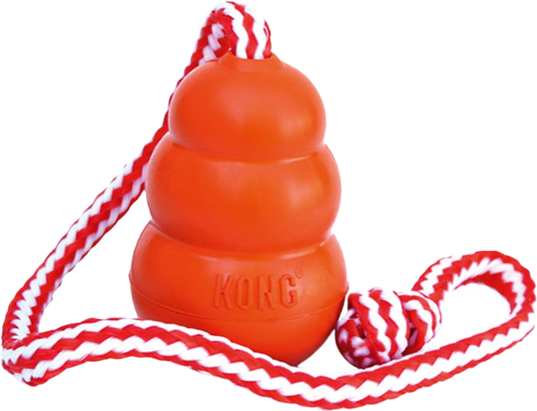 Изображение товара Игрушка для собак KONG Aqua with rope L / 41947