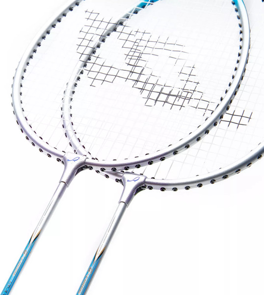 Изображение товара Набор для бадминтона Double Fish Jinque LT-119+ (серебристый)