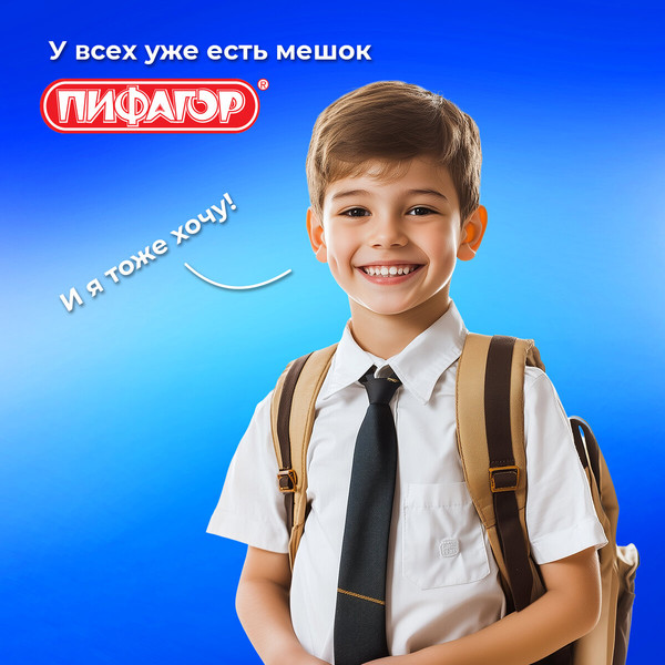 Изображение товара Мешок для обуви Пифагор 271618 (черный)