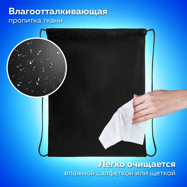 Изображение товара Мешок для обуви Пифагор 271618 (черный)