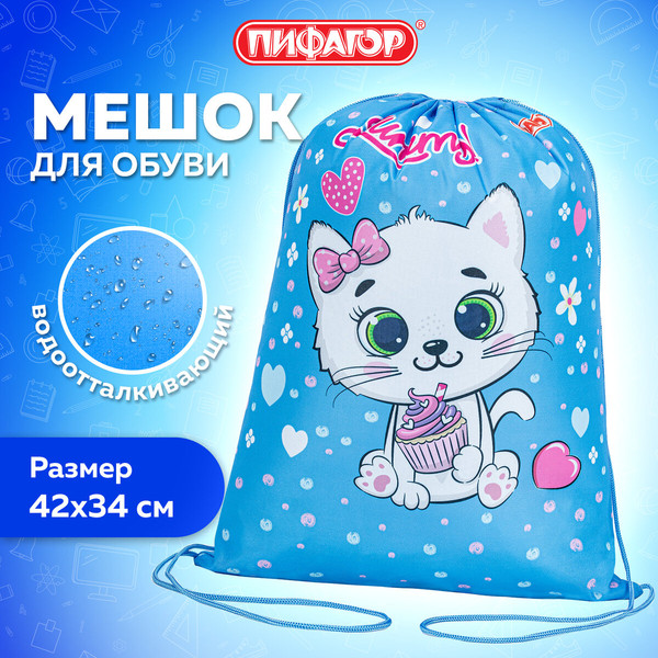 Изображение товара Мешок для обуви Пифагор Yummy Cupcake / 271603