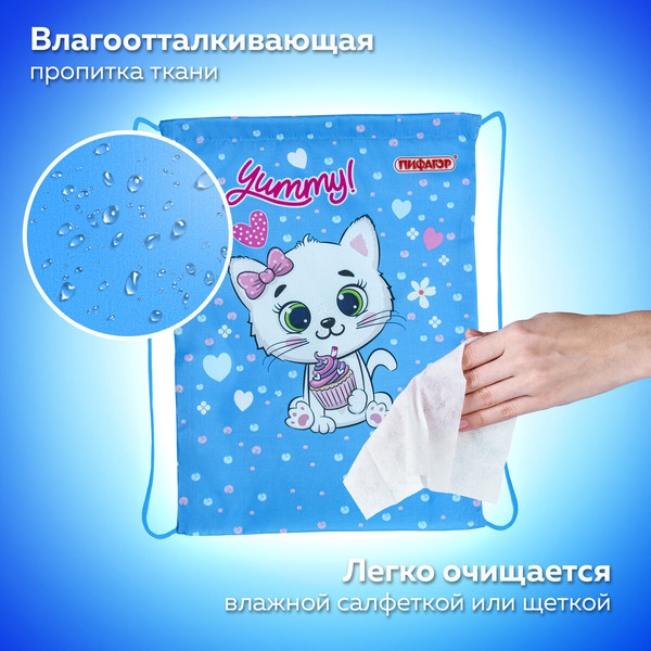 Изображение товара Мешок для обуви Пифагор Yummy Cupcake / 271603