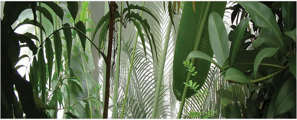 Изображение товара Шторка под ванну JoyArty 60x150 / bt_11422