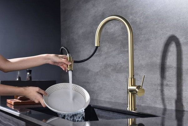Изображение товара Смеситель Paulmark Ga213077-SBG