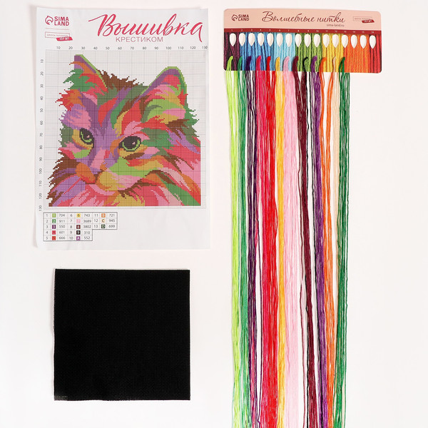 Изображение товара Набор для вышивания Школа талантов Разноцветный кот / 9942396