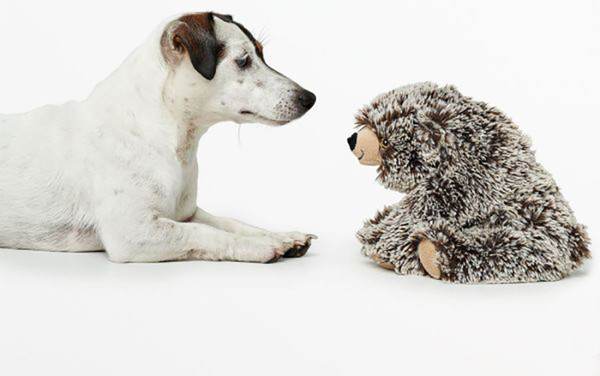 Изображение товара Игрушка для собак HUNTER Faro Bear / 67448